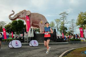 BIB: 
                            <button type="button" onclick="openModal(26529145)" class="btn btn-primary btn-sm float-right btn-popup" data-toggle="modal" data-target=".modal-high-quality">
                        <i class="fas fa-shopping-cart"></i> Add to Cart
                    </button>
                                            <button type="button" onclick="isThisMe(26529145, true)" class="btn btn-success btn-sm float-right btn-popup btn-isme hidden" data-toggle="tooltip" data-placement="bottom" title="นี่คือรูปของคุณใช่ไหม คลิกที่นี่เพื่อเอาเข้าอัลบั้ม">
                        <i class="fas fa-plus"></i> Add to album
                    </button>
                    <button type="button" onclick="isThisMe(26529145, false)" class="btn btn-warning btn-sm float-right btn-popup btn-isnotme hidden">
                        <i class="fas fa-ban"></i> Remove from album
                    </button>